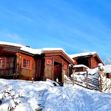 Koselig Familiehytte Pa Vakre Dagali - Naer Geilo Dış mekan fotoğraf