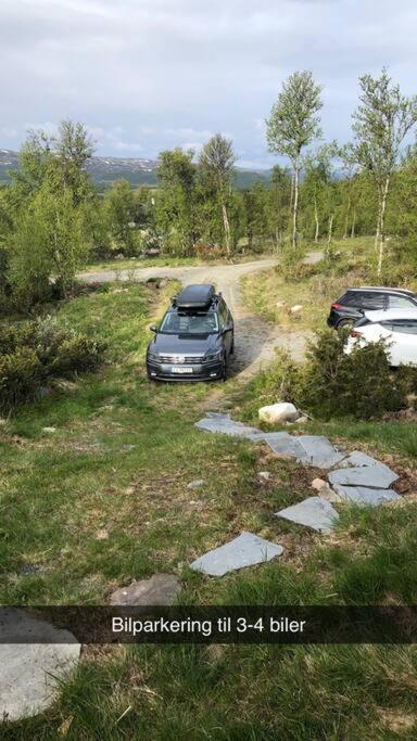 Koselig Familiehytte Pa Vakre Dagali - Naer Geilo Dış mekan fotoğraf
