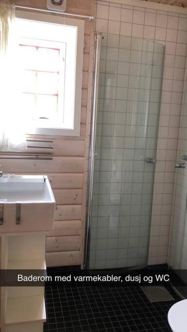 Koselig Familiehytte Pa Vakre Dagali - Naer Geilo Dış mekan fotoğraf