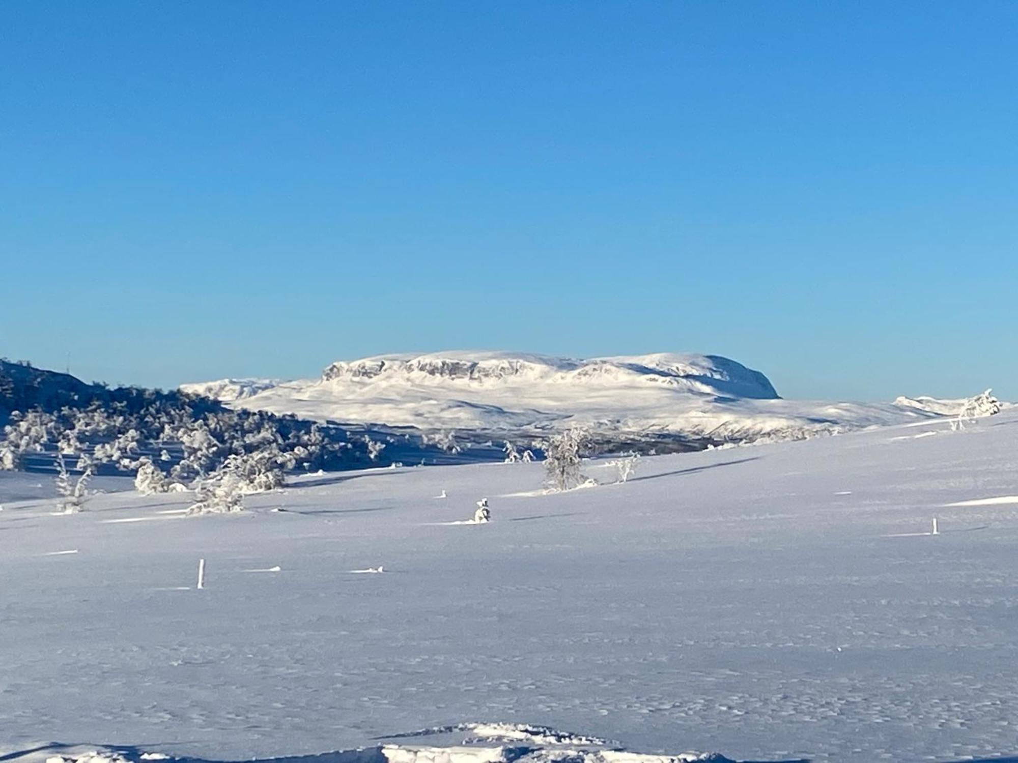 Koselig Familiehytte Pa Vakre Dagali - Naer Geilo Dış mekan fotoğraf
